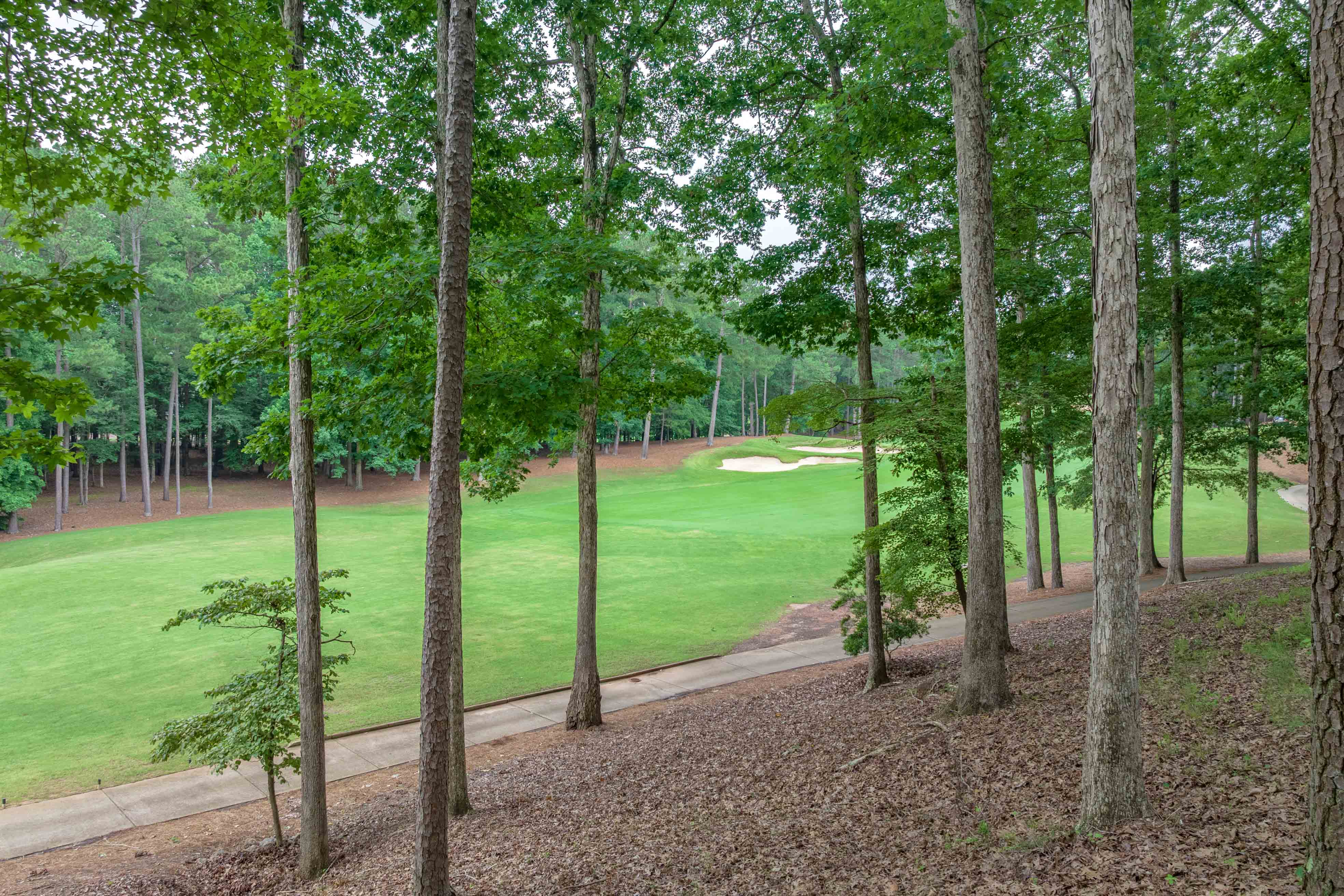 1020 Sallie's View image 43